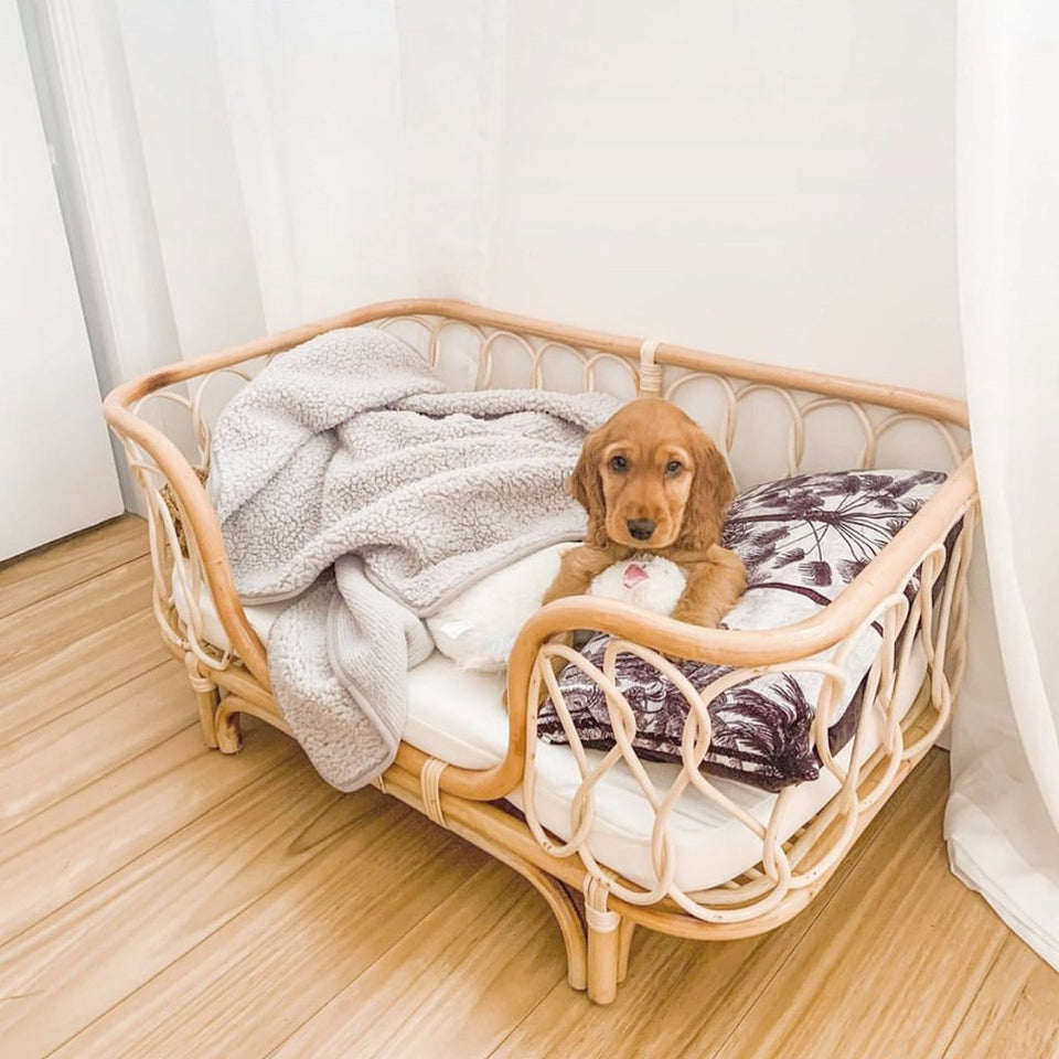 Handmade Rattan Woven Pet Bed Sofa For Dogs
