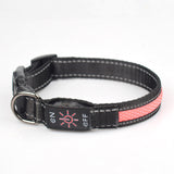 LED Pet Collar