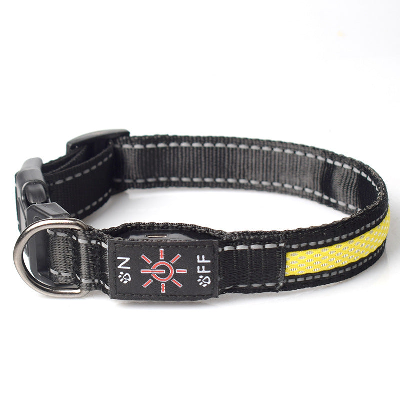 LED Pet Collar