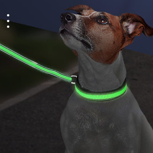 LED Pet Collar
