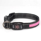 LED Pet Collar