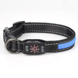 LED Pet Collar