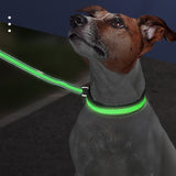 LED Pet Collar